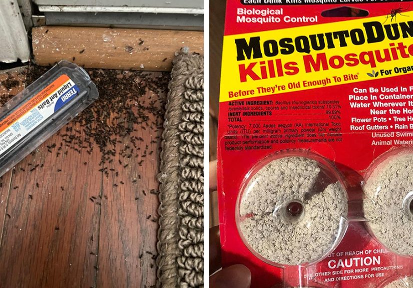 41 Amazon Best Sellers That Speak For Themselves