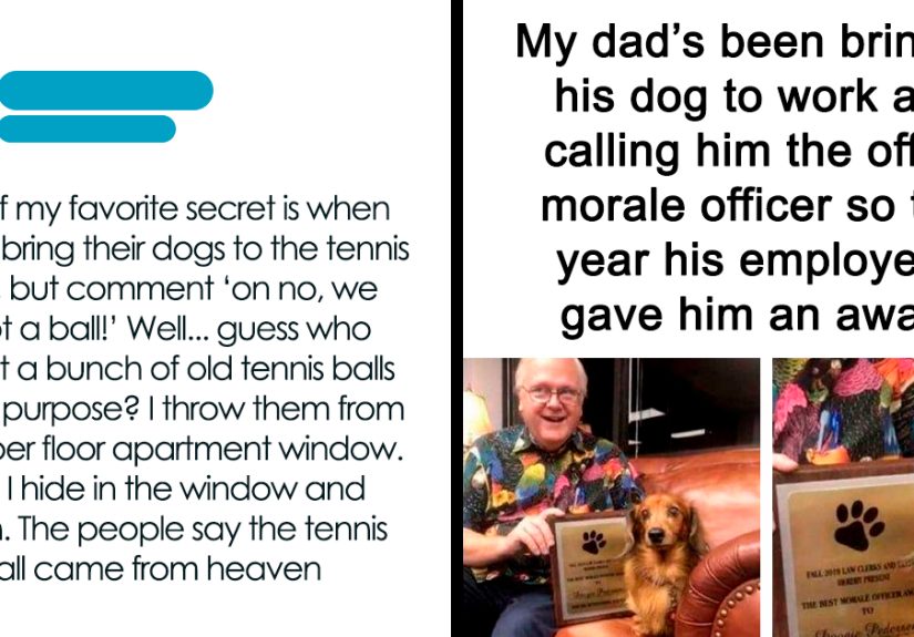 50 Memes That Dog Owners May Find Funny And Relatable