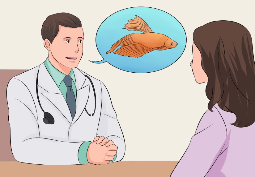 6 Ways to Save a Dying Betta Fish