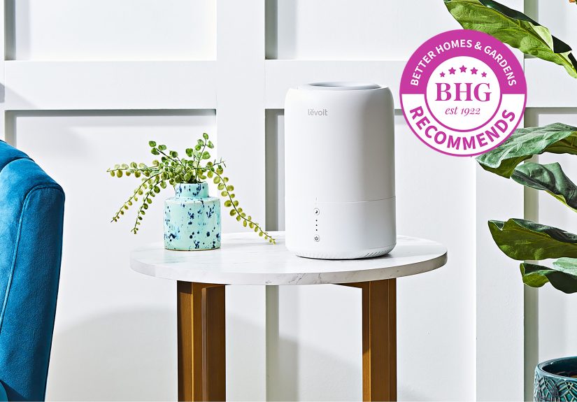 Best Essential Oil Diffusers, According to Months of Testing