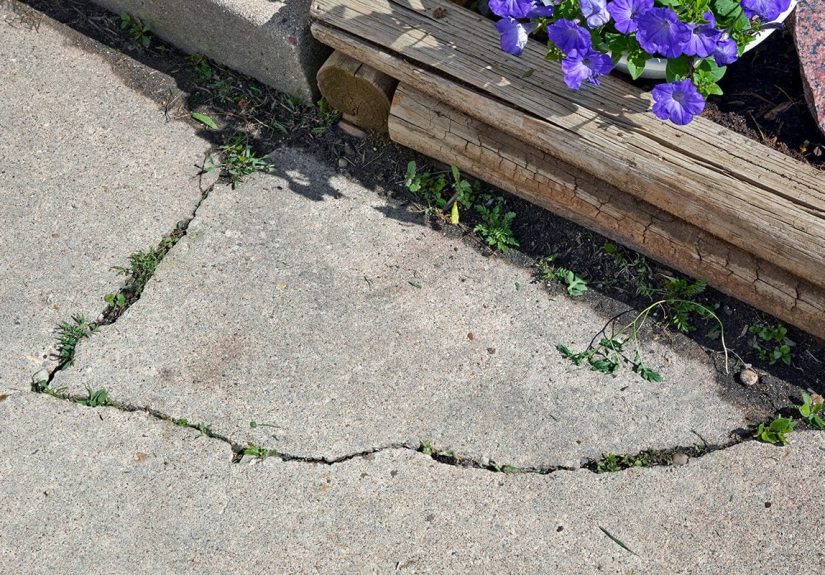 DIY Driveway Crack Repair in 5 Simple Steps