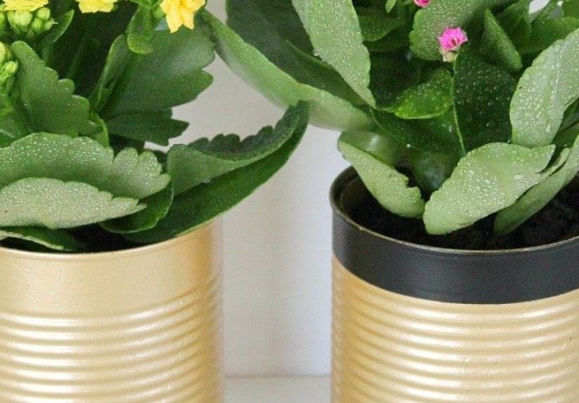 DIY Recycled Tin Can Flower Pots