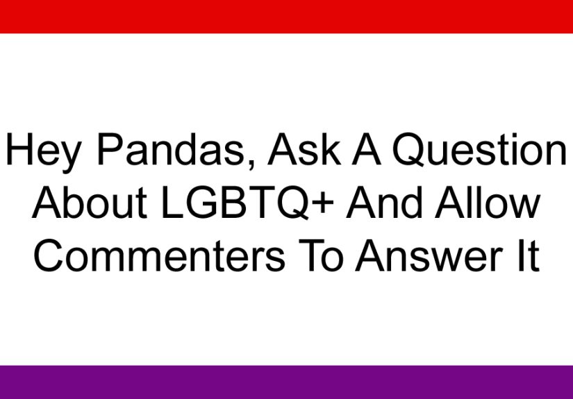Hey Pandas, Ask A Question About LGBTQ+ And Allow Commenters To Answer It (Closed)