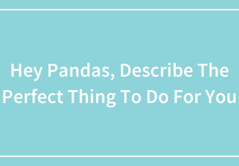 Hey Pandas, Describe The Perfect Thing To Do For You