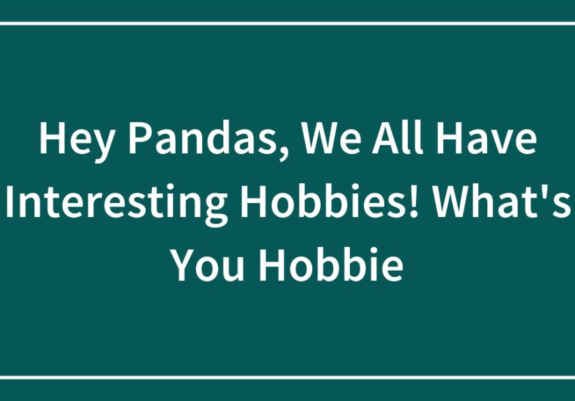 Hey Pandas, We All Have Interesting Hobbies! What’s You Hobbie