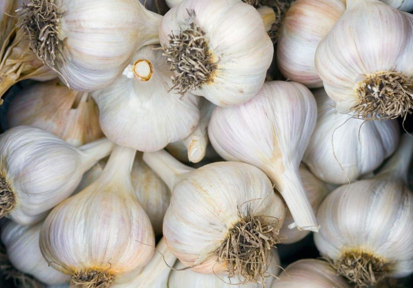 How to Peel Garlic in 3 Easy Steps for Your Favorite Recipes