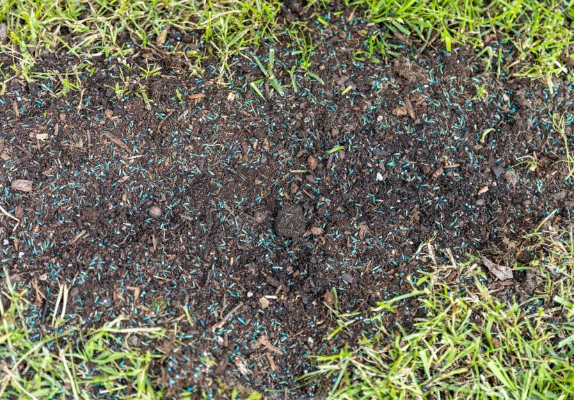 How to Plant Grass Seed: An Easy Guide
