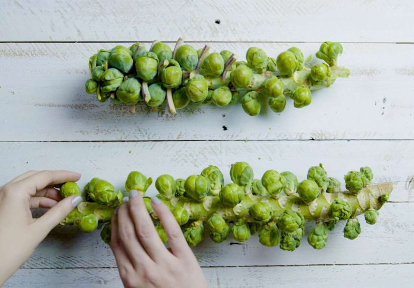 How to Steam Brussels Sprouts (3 Ways!)