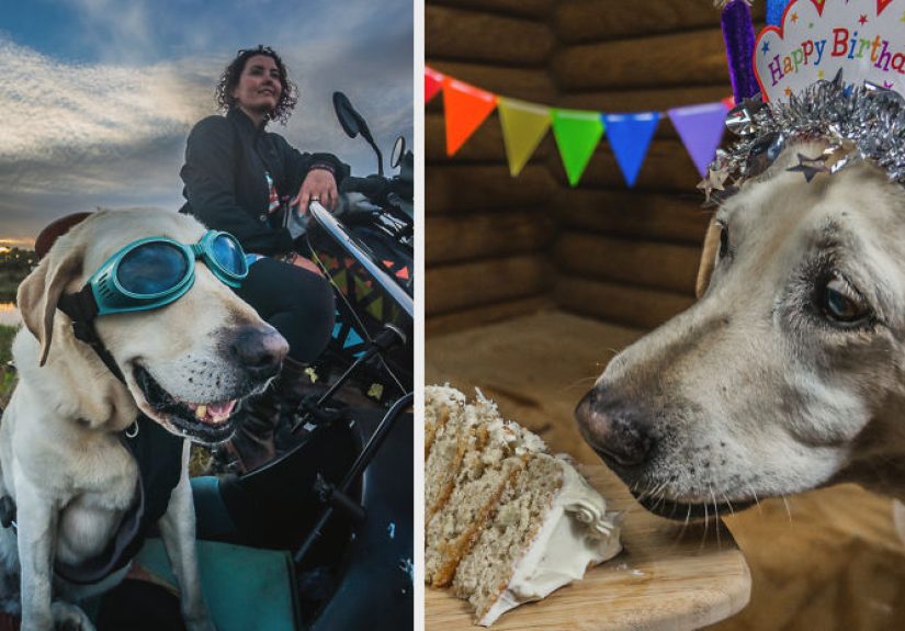 Motorcycle Dog Celebrates 11th Birthday On The Road!