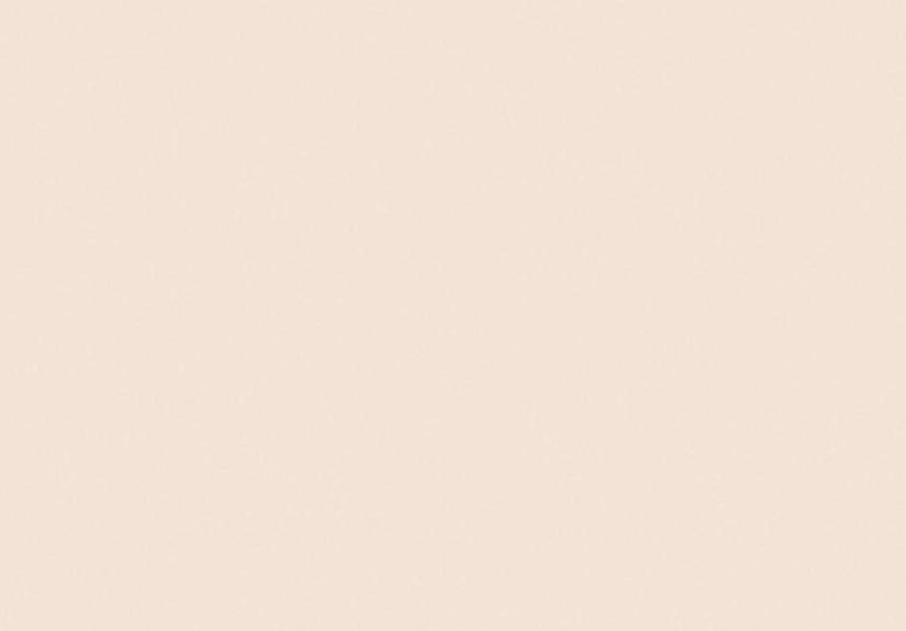 Pink Ground No. 202 Paint
