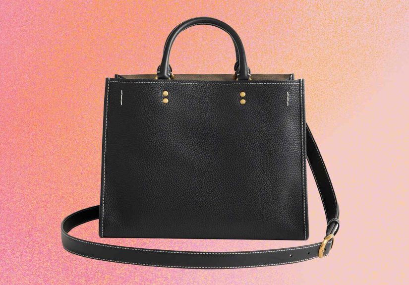Quince’s Leather Purse Looks Just Like an $850 Coach Bag