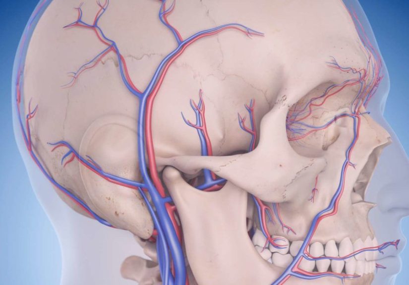 Vertebrobasilar circulatory disorders: Symptoms and causes