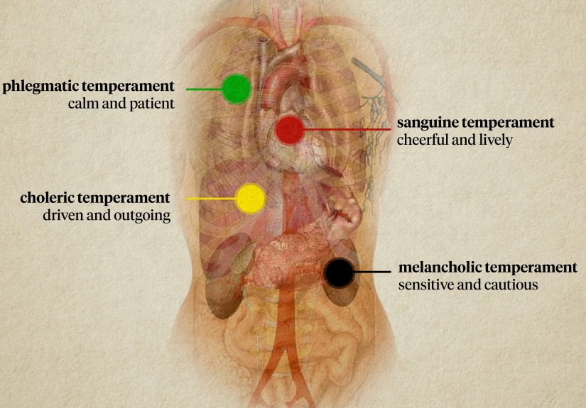 What Is a Choleric Personality? Strengths, Weaknesses & More