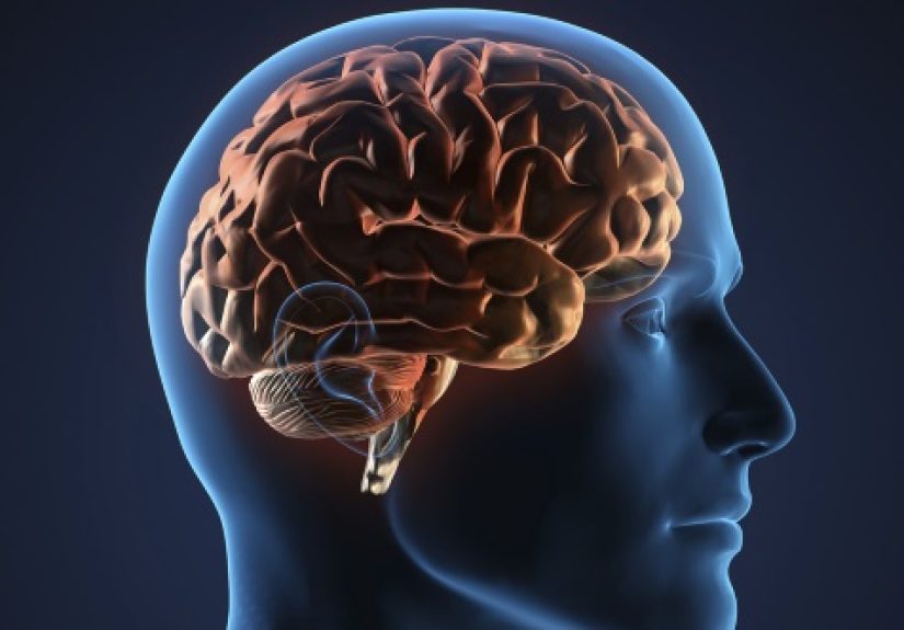 10 Things Our Brain Does Without Our Help