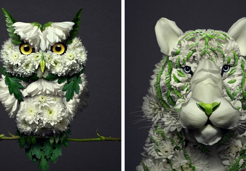 30 Delicate Animal Portraits Created From Things Found In Nature By Raku Inoue