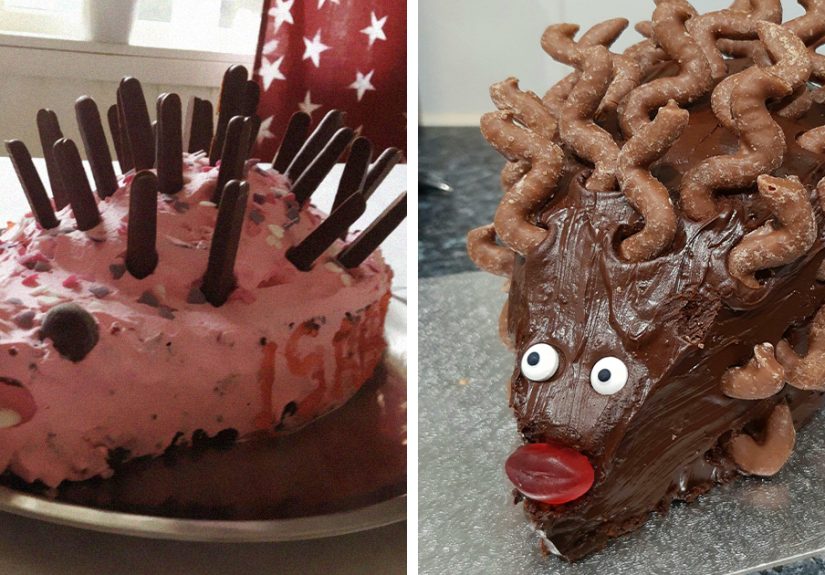30 Times People Tried Making Hedgehog Cakes And Failed