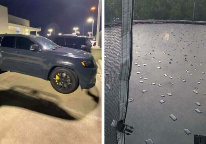 50 Times People Spotted Something ‘Mildly Interesting’ And Documented It For The Internet To See