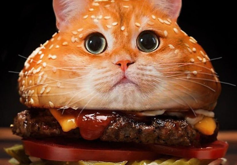 A Photoshop Artist Uses His Imagination To Insert Animals Where You Wouldn’t Expect Them To Be (18 Pics)