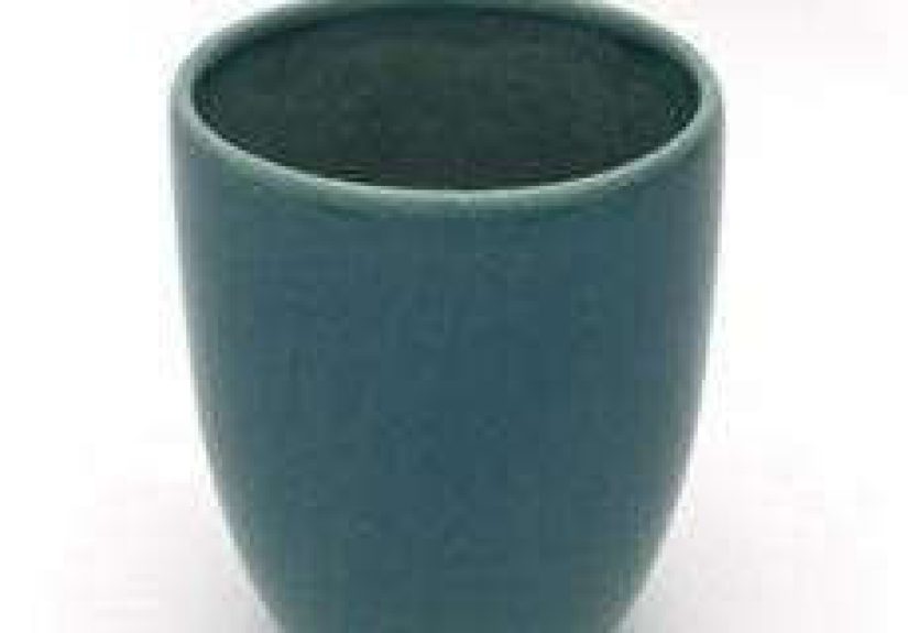 American Modern Tumbler