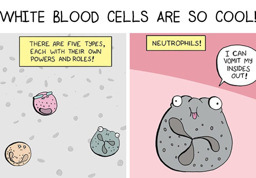Biologist By Day, Cartoonist By Night: 28 Funny And Relatable Comics By This Artist