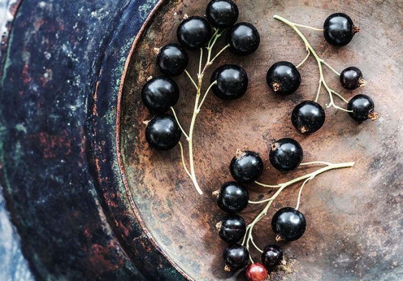 Black currant seed oil for dry eyes