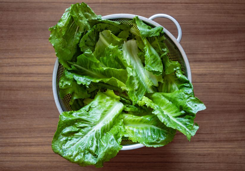 Does Storing Lettuce in Water Keep It Fresh Longer?