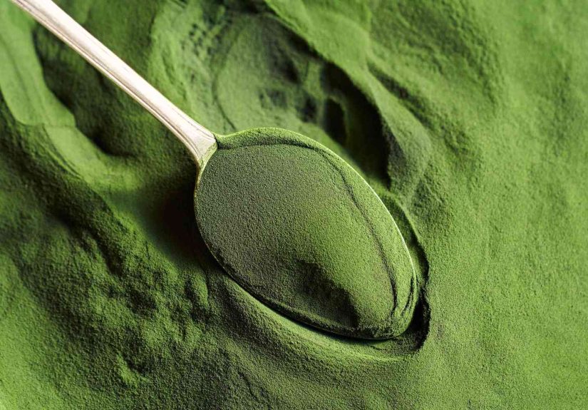 Edible Algae Health Benefits, Varieties, and Nutrition