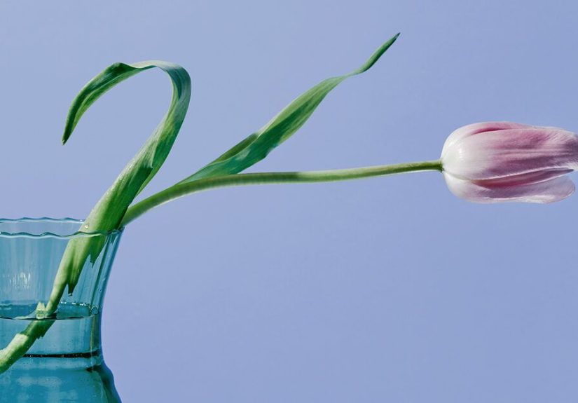 Erectile Dysfunction: Signs and Symptoms