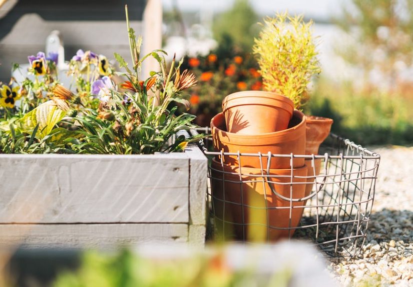 Here's What Gardening Experts Think of the "No-Dig" Method