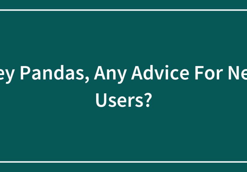 Hey Pandas, Any Advice For New Users?