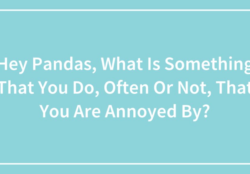 Hey Pandas, What Is Something That You Do, Often Or Not, That You Are Annoyed By?
