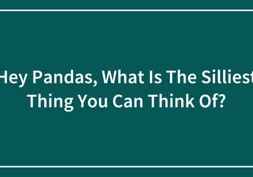 Hey Pandas, What Is The Silliest Thing You Can Think Of?