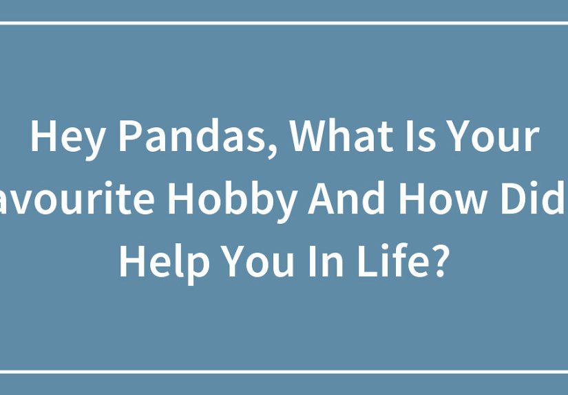 Hey Pandas, What Is Your Favorite Hobby And How Did It Help You In Life?