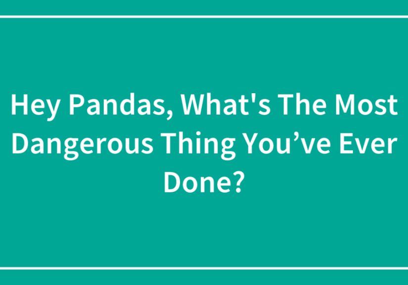Hey Pandas, What’s The Most Dangerous Thing You’ve Ever Done?