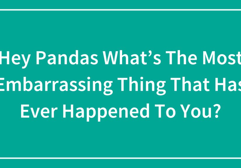 Hey Pandas What’s The Most Embarrassing Thing That Has Ever Happened To You?