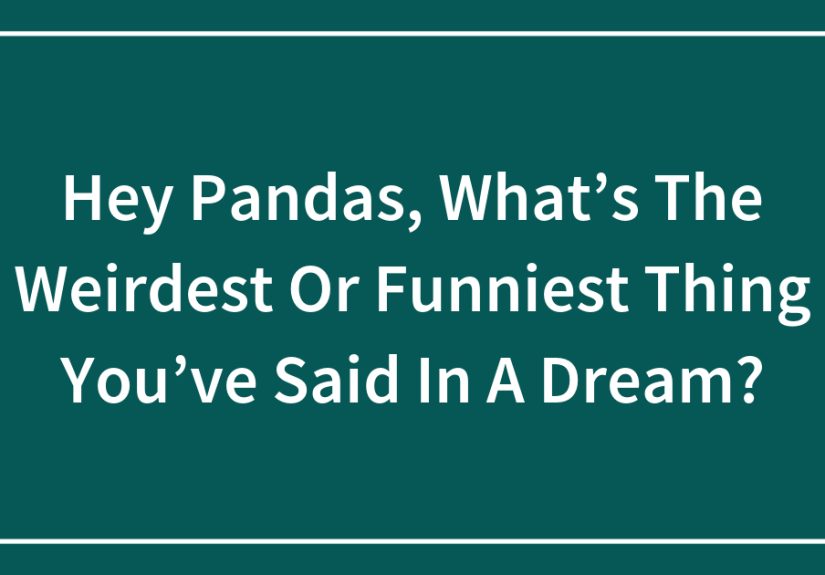 Hey Pandas, What’s The Weirdest Or Funniest Thing You’ve Said In A Dream?
