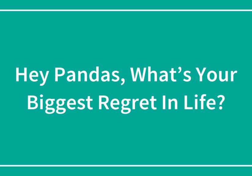 Hey Pandas, What’s Your Biggest Regret In Life?