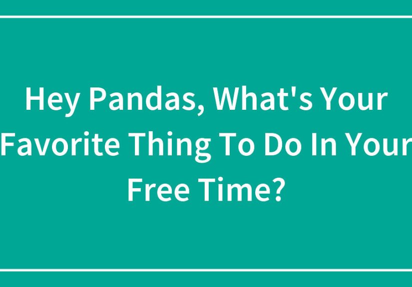 Hey Pandas, What’s Your Favorite Thing To Do In Your Free Time?