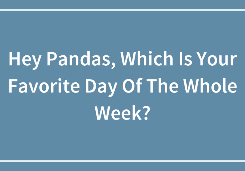 Hey Pandas, Which Is Your Favorite Day Of The Whole Week?