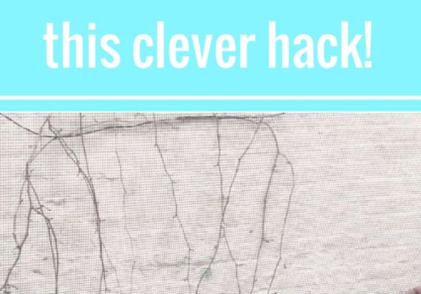 How to Clean Your Window Tracks DIY