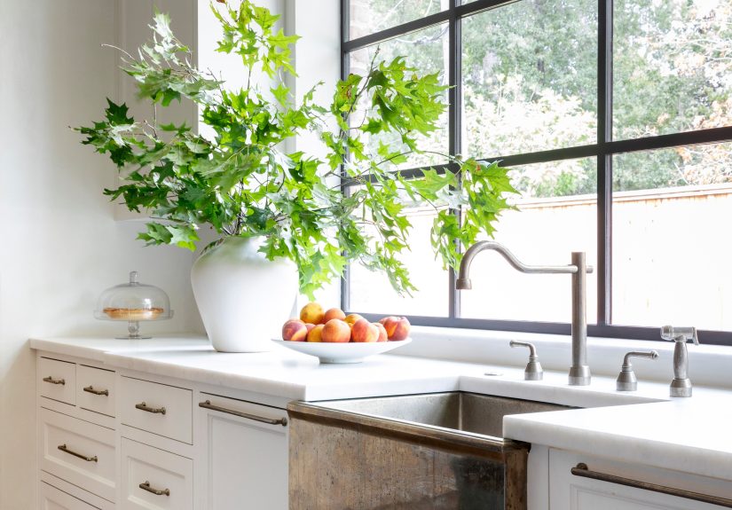 How to Get Rid of Fruit Flies in Your Home
