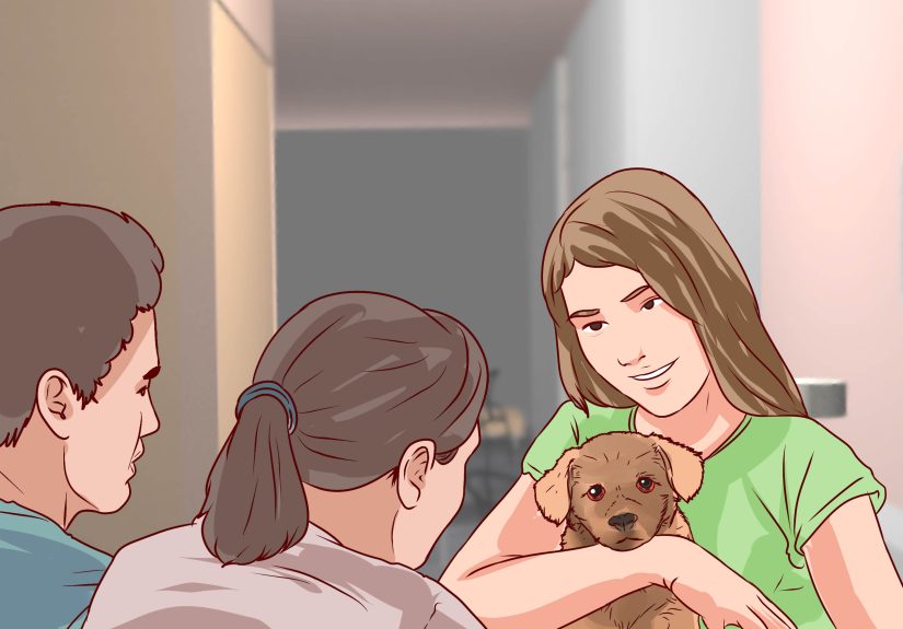 How to Hide a Pet without Getting Caught (Spoiler: Don’t)