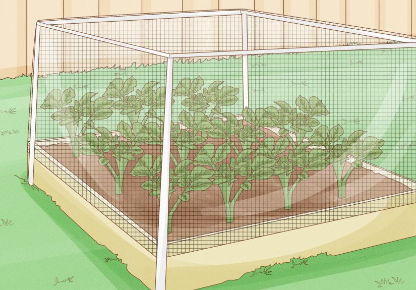How to Prepare a Garden Plot: 13 Steps