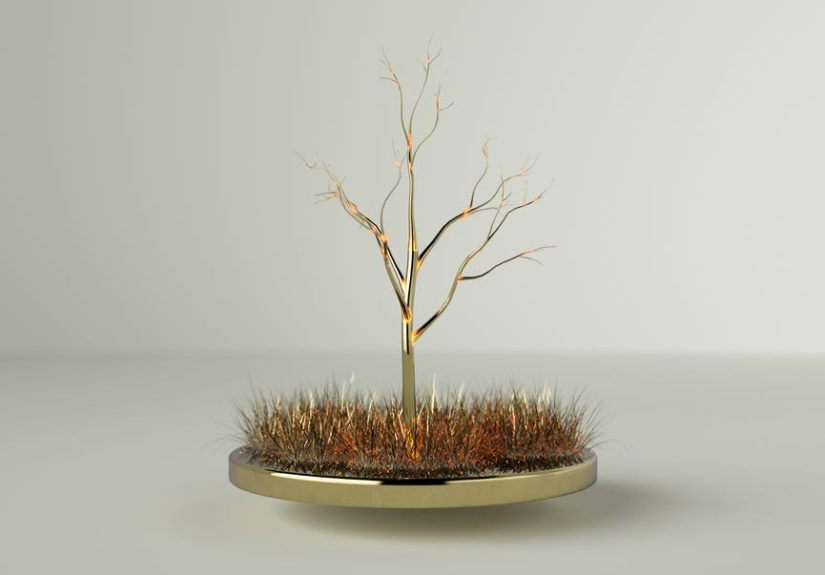 Humanity Needs Rare Earth Elements. This Plant Grows Them.
