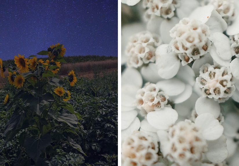 I Photographed This Ukrainian Village Because It Is My Solace That Inspires Me (30 pics)