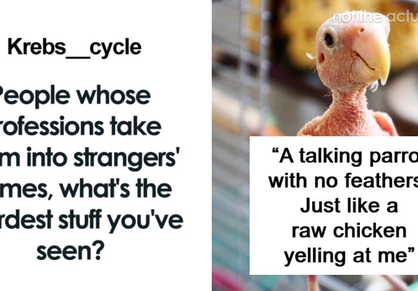 “I Took A Hand Sanitizer Bath Afterwards”: 42 Shocking, Disgusting, And Bizarre Things People Found While Working In Someone’s Home