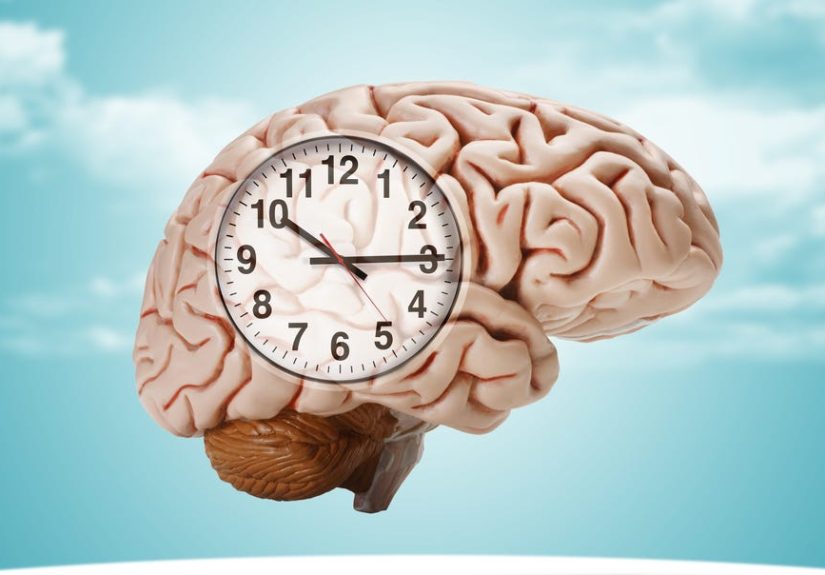 Scientists Think They’ve Found a Way to Slow Your Brain’s Aging