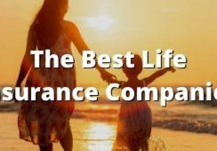 The 10 Best Online Life Insurance Companies 2021