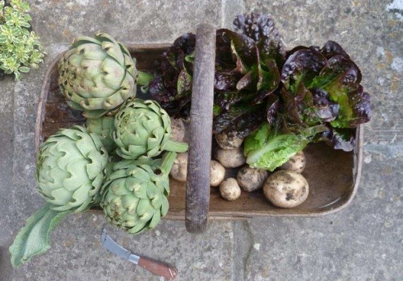 Tweet to Win: DIY Garden-to-Table Kits