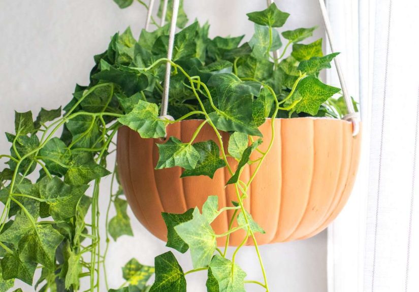 We Found the Best Pumpkin Carving Ideas You’ll See Everywhere in October